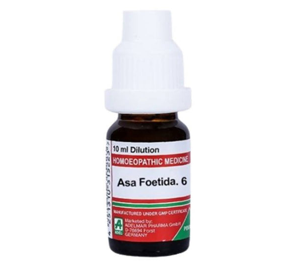 https://cdn.shopify.com/s/files/1/1857/6931/files/YB1YubeKDK-757947.jpg?v=1759311751