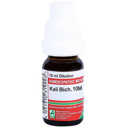 https://cdn.shopify.com/s/files/1/1857/6931/files/YBLkmZPrEZ-575895.jpg?v=1736143326