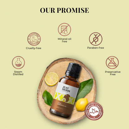 https://cdn.shopify.com/s/files/1/1857/6931/files/YBkJVVqSri.png?v=1739423983