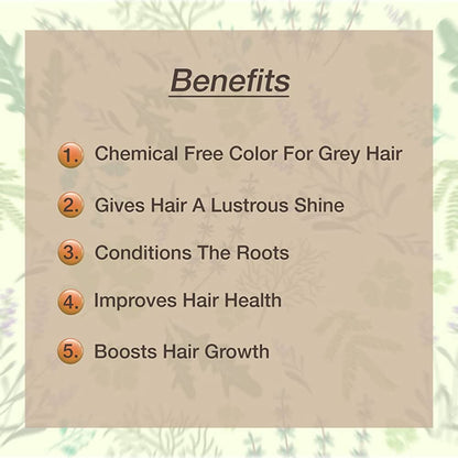 https://cdn.shopify.com/s/files/1/1857/6931/products/YFoFvSbUVu.jpg?v=1646633909