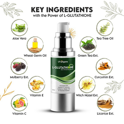 https://cdn.shopify.com/s/files/1/1857/6931/files/YKZ3d8fTSr.png?v=1718780005