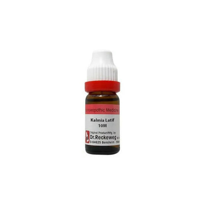 https://cdn.shopify.com/s/files/1/1857/6931/products/YM6KPCLMbz.jpg?v=1679146929