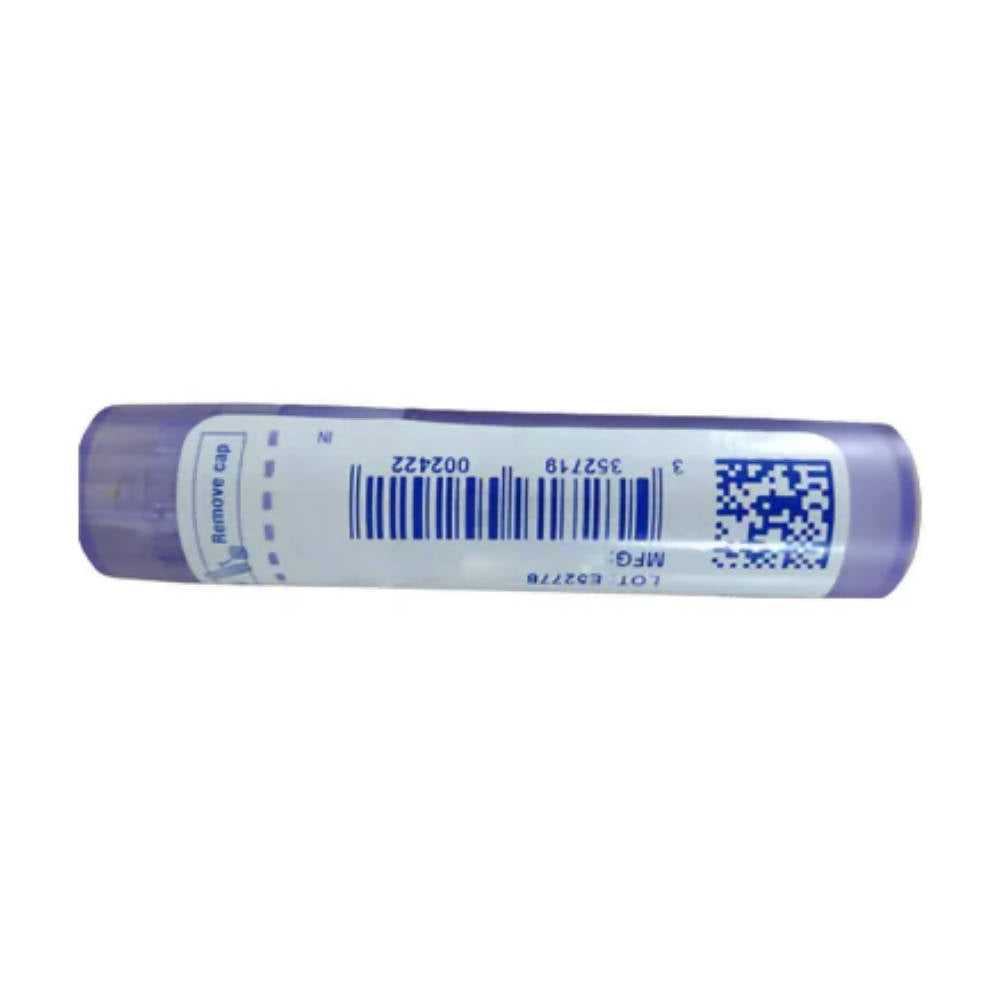 https://cdn.shopify.com/s/files/1/1857/6931/products/YNgpC4Q4dY.jpg?v=1652090112