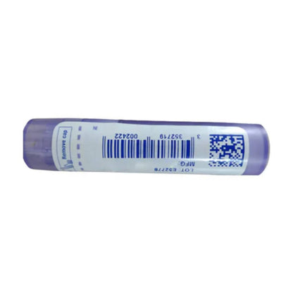 https://cdn.shopify.com/s/files/1/1857/6931/products/YNgpC4Q4dY.jpg?v=1652090112