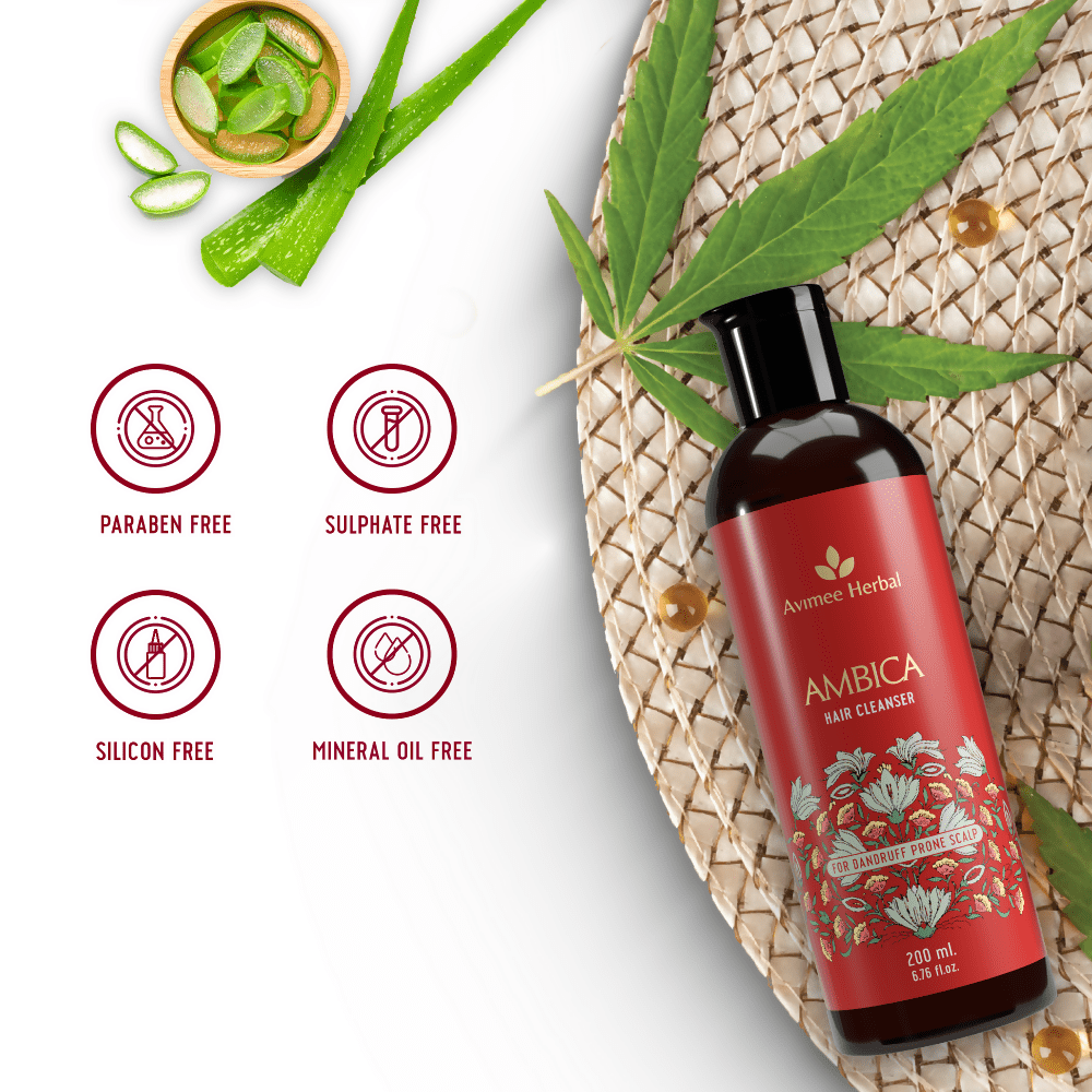 https://cdn.shopify.com/s/files/1/1857/6931/files/YOXYaKIlOp-733495.png?v=1736150355