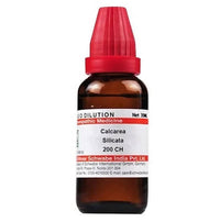 https://cdn.shopify.com/s/files/1/1857/6931/products/YOi27XKj2J.jpg?v=1641359290