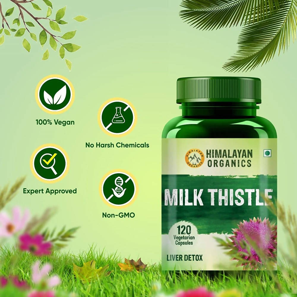 https://cdn.shopify.com/s/files/1/1857/6931/products/YPaV8uIxNV.jpg?v=1626692321