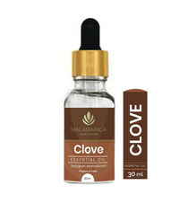 https://cdn.shopify.com/s/files/1/1857/6931/products/YQsSGKMARF.jpg?v=1667644428