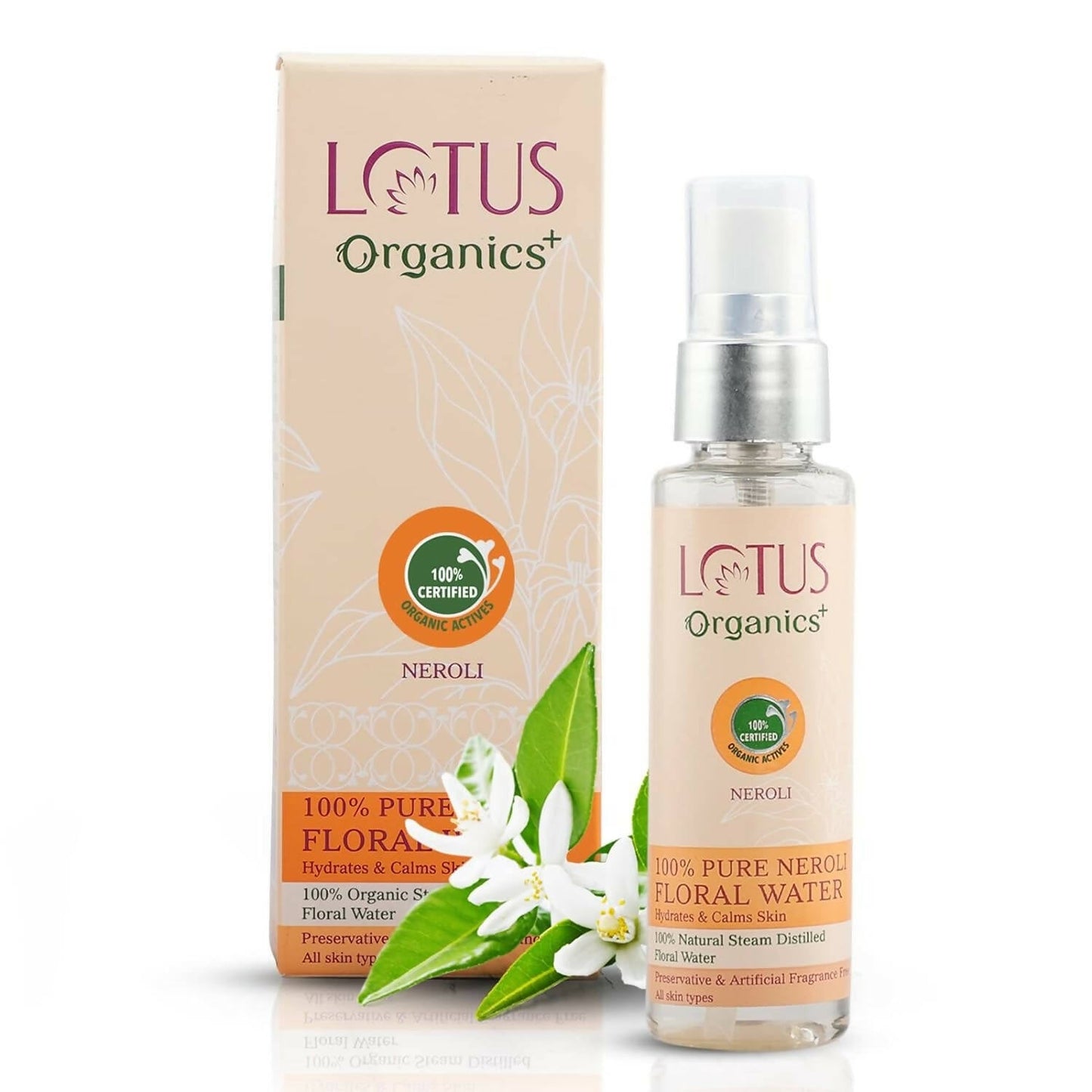 https://cdn.shopify.com/s/files/1/1857/6931/products/YRZRfcXCSt.jpg?v=1697115785