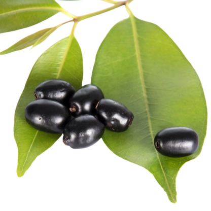 https://cdn.shopify.com/s/files/1/1857/6931/files/YSUYp2E9cm.jpg?v=1765519443