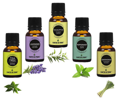 https://cdn.shopify.com/s/files/1/1857/6931/products/YTR8yVlk2L.jpg?v=1646214309