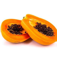 https://cdn.shopify.com/s/files/1/1857/6931/products/YUujgUoRw5.jpg?v=1646467940