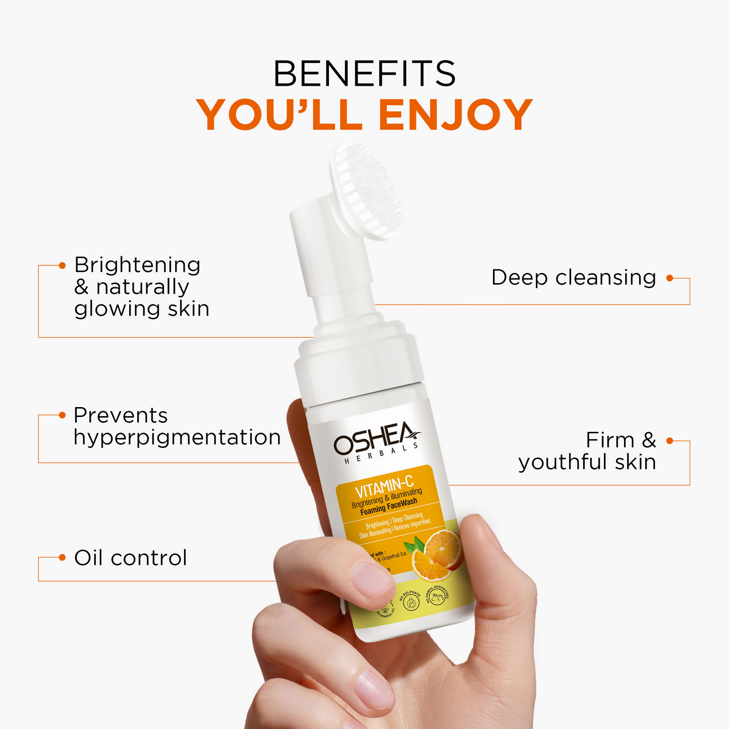 https://cdn.shopify.com/s/files/1/1857/6931/files/YVFGy0zngl.png?v=1741853845