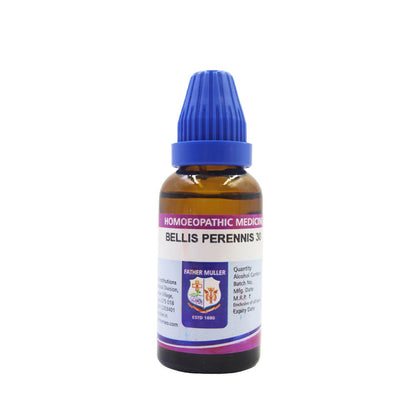 https://cdn.shopify.com/s/files/1/1857/6931/files/YVMrQLoO0f.jpg?v=1719035370