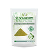 https://cdn.shopify.com/s/files/1/1857/6931/products/YVOsTGbdZE.jpg?v=1762394876