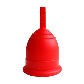https://cdn.shopify.com/s/files/1/1857/6931/products/YWd8pm1JB3.jpg?v=1762342477