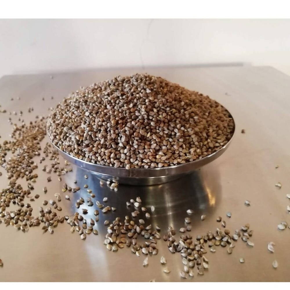https://cdn.shopify.com/s/files/1/1857/6931/products/YXS9xAvPue.jpg?v=1623397811