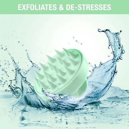 https://cdn.shopify.com/s/files/1/1857/6931/files/YbiGAptzhL.jpg?v=1713249963