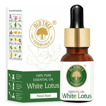 https://cdn.shopify.com/s/files/1/1857/6931/products/YcT3BMogsG.jpg?v=1762383565