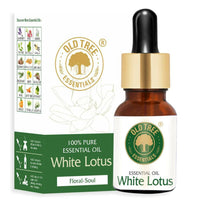 https://cdn.shopify.com/s/files/1/1857/6931/products/YcT3BMogsG.jpg?v=1762383565