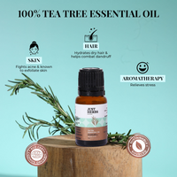 https://cdn.shopify.com/s/files/1/1857/6931/files/YdwcCmo3Xn.png?v=1739423998