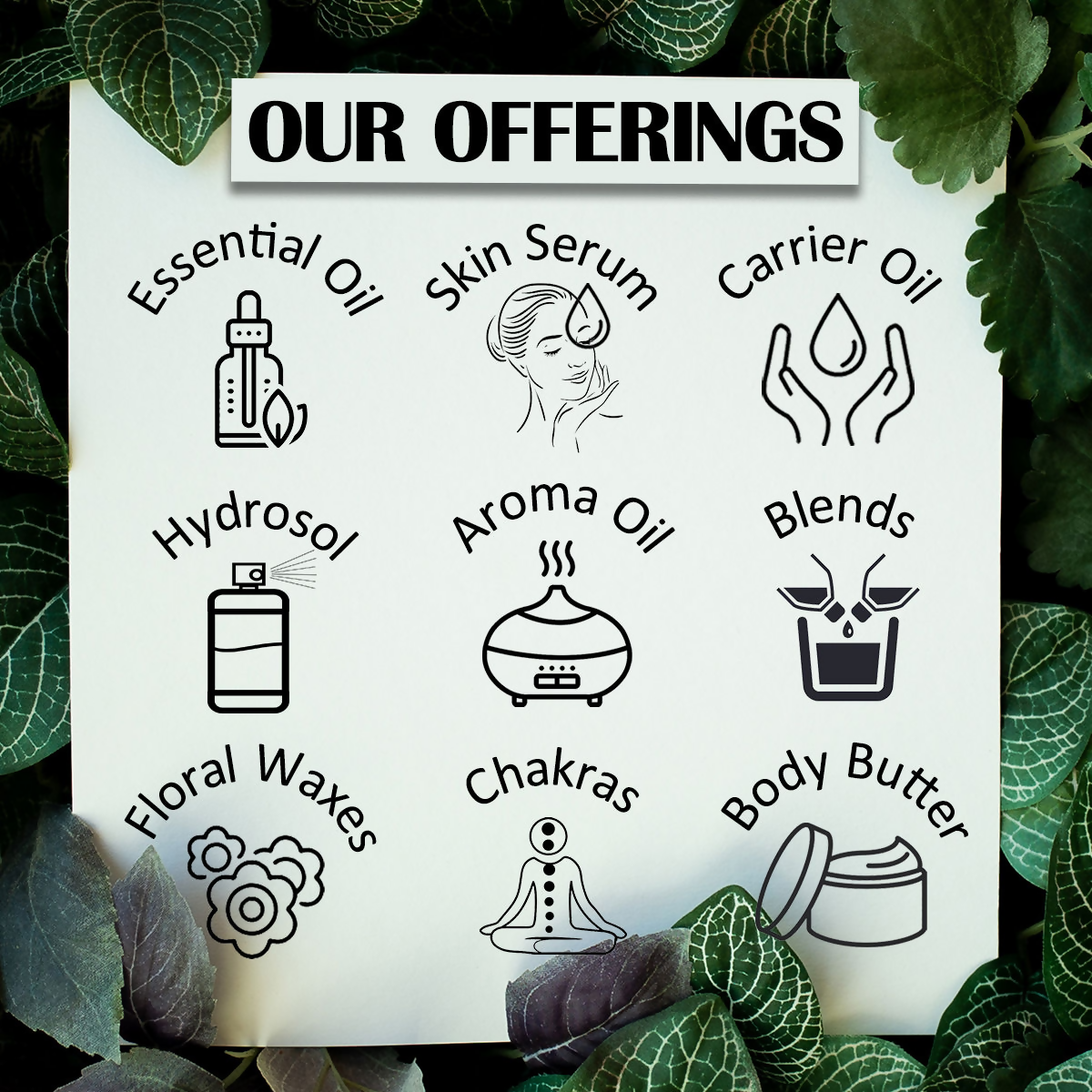 https://cdn.shopify.com/s/files/1/1857/6931/files/YeO8yqN1sC.png?v=1739423464