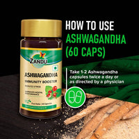 https://cdn.shopify.com/s/files/1/1857/6931/products/Yf3ZsVsH5i.jpg?v=1715405456