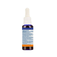 https://cdn.shopify.com/s/files/1/1857/6931/products/YhN2iBcrtC.jpg?v=1623983498