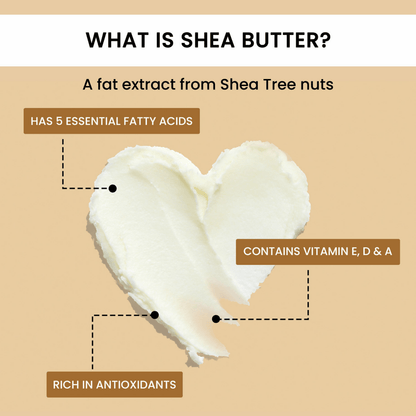 https://cdn.shopify.com/s/files/1/1857/6931/files/Yhc3qRFpDy-738742.png?v=1736146681