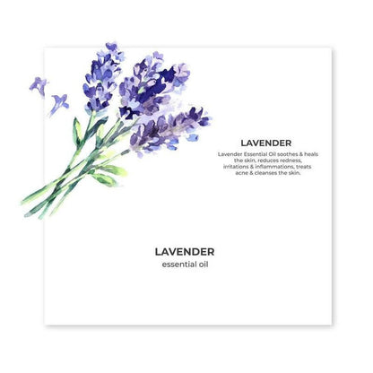 https://cdn.shopify.com/s/files/1/1857/6931/products/YhmJ1ztY9W.jpg?v=1627612126
