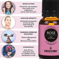 https://cdn.shopify.com/s/files/1/1857/6931/products/YiKiSjF7yj.jpg?v=1646137966