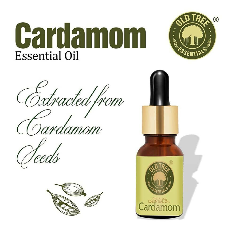 https://cdn.shopify.com/s/files/1/1857/6931/products/Yjp1X4eKsg.jpg?v=1683366068