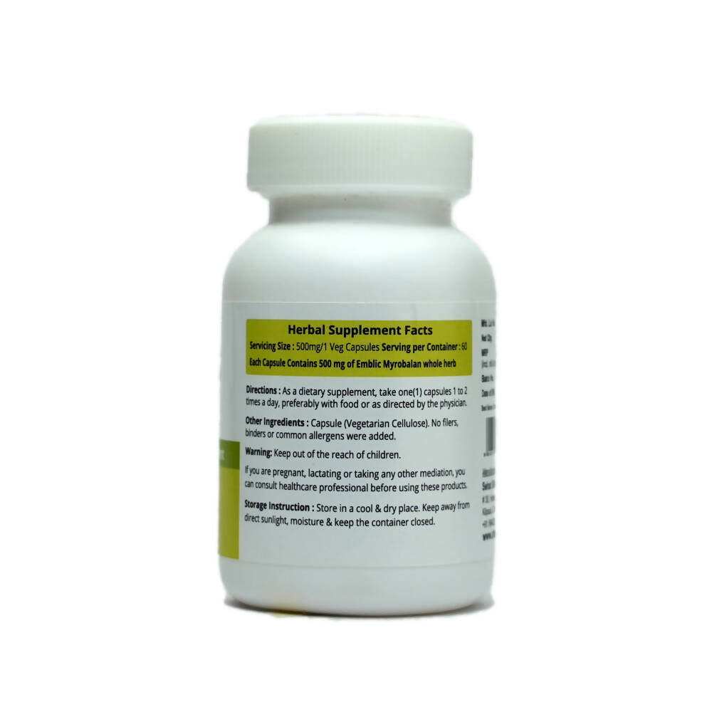 https://cdn.shopify.com/s/files/1/1857/6931/products/YkwGuzIJCg.jpg?v=1669888902