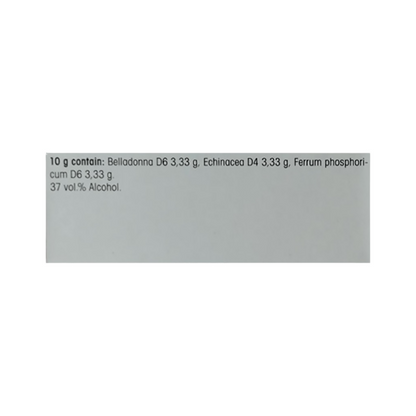 https://cdn.shopify.com/s/files/1/1857/6931/files/Yl8TkWc5Gh.png?v=1768803496