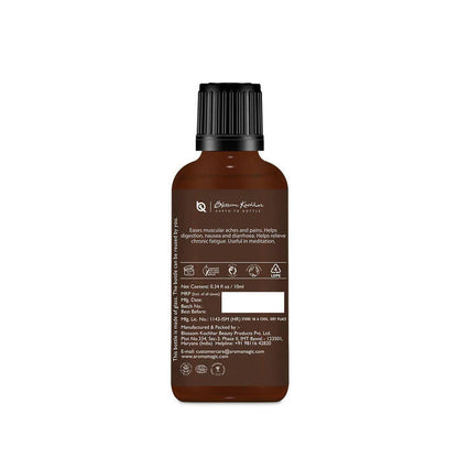 https://cdn.shopify.com/s/files/1/1857/6931/products/YnnjEiWUCO.jpg?v=1677741298
