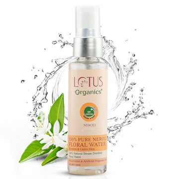 https://cdn.shopify.com/s/files/1/1857/6931/products/YpU7IAvHOA.jpg?v=1697115785