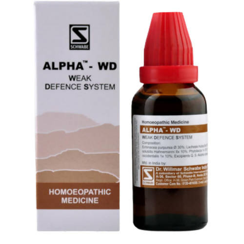 https://cdn.shopify.com/s/files/1/1857/6931/products/Ys3E79q12m.jpg?v=1624588142