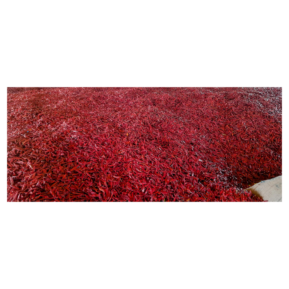 https://cdn.shopify.com/s/files/1/1857/6931/products/YtXzloIXU2.png?v=1693287102