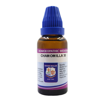 https://cdn.shopify.com/s/files/1/1857/6931/files/YuMgvbXsjf.jpg?v=1719036372
