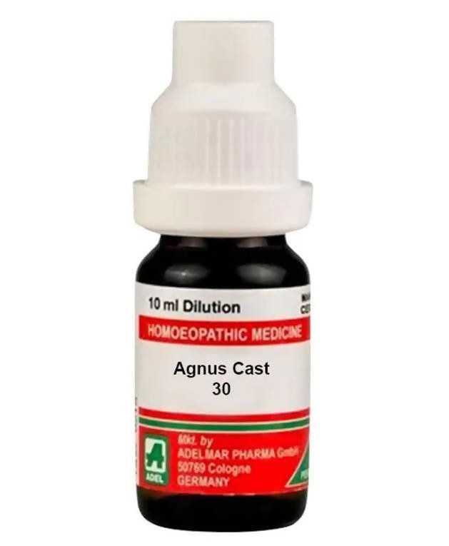https://cdn.shopify.com/s/files/1/1857/6931/files/YvclsR1toI-957649.jpg?v=1736143263