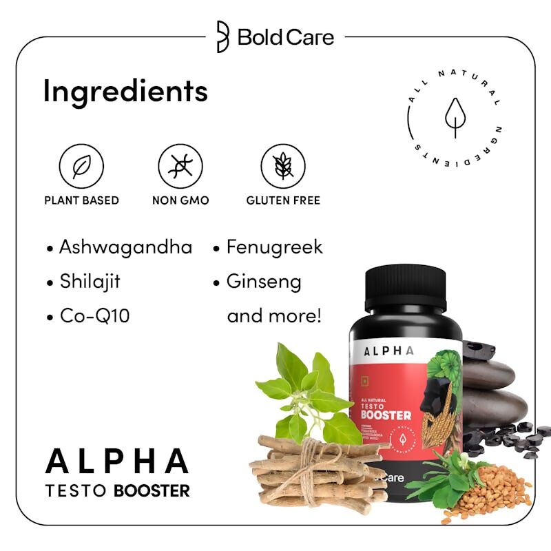 https://cdn.shopify.com/s/files/1/1857/6931/files/YwxAjnpa2o.jpg?v=1714540695