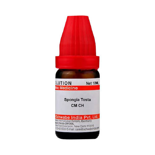 https://cdn.shopify.com/s/files/1/1857/6931/products/YxEl3qDdiv.jpg?v=1640863848