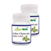 https://cdn.shopify.com/s/files/1/1857/6931/products/YxOPwVotea.jpg?v=1762431923