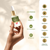 https://cdn.shopify.com/s/files/1/1857/6931/files/Yy9BEwjhWU.png?v=1720503236