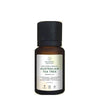 https://cdn.shopify.com/s/files/1/1857/6931/products/YzTLNRAmR4.jpg?v=1759283179