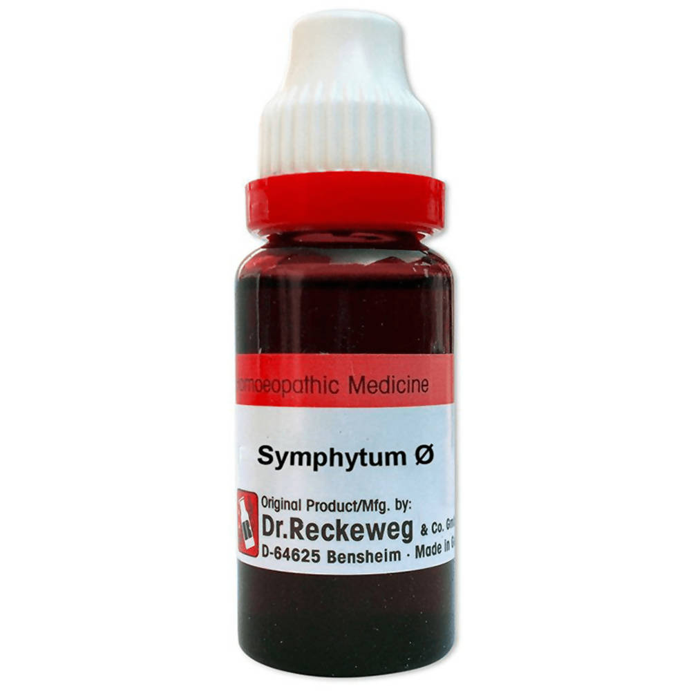 https://cdn.shopify.com/s/files/1/1857/6931/products/Z0mvWMrSk0.jpg?v=1633055837