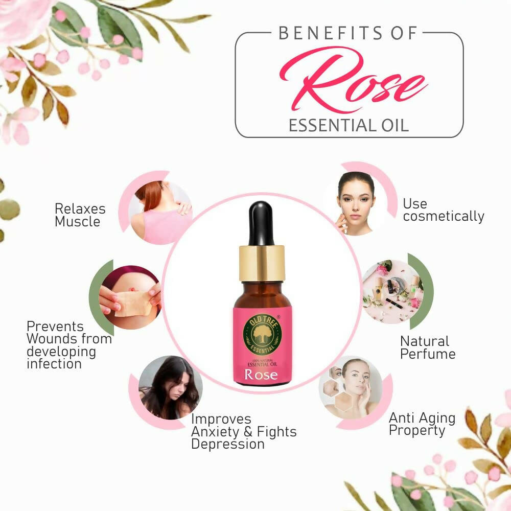https://cdn.shopify.com/s/files/1/1857/6931/products/Z1Hv3c4CEp.jpg?v=1682760856