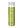 https://cdn.shopify.com/s/files/1/1857/6931/files/Z3VUc82jB2.png?v=1722227519