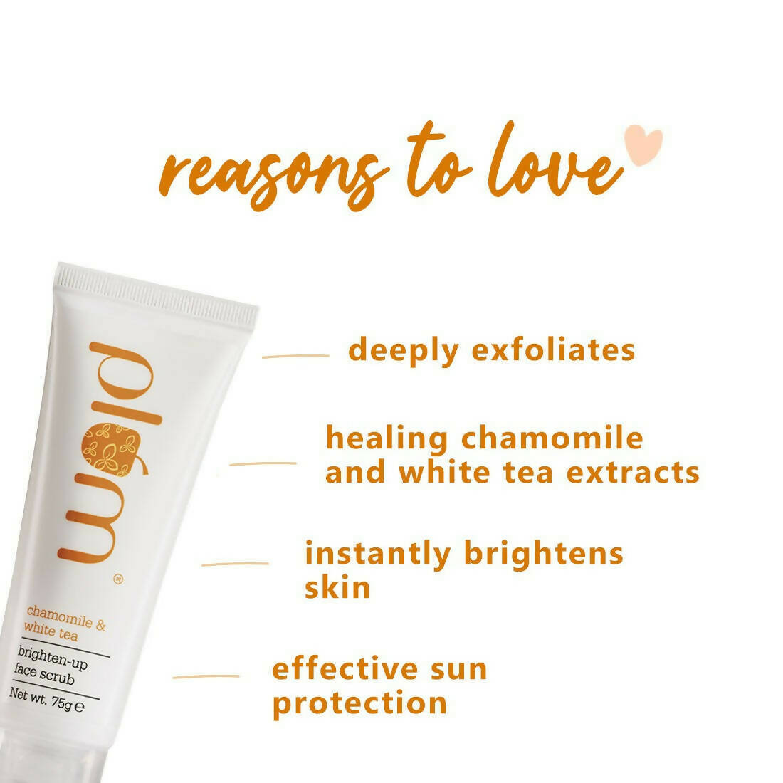 https://cdn.shopify.com/s/files/1/1857/6931/products/Z4HzdEw6LZ.jpg?v=1693379433