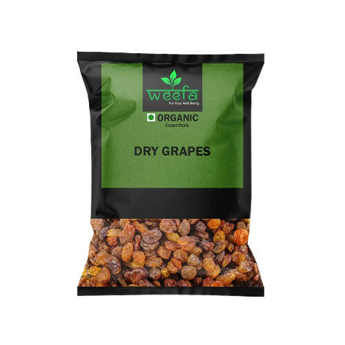 https://cdn.shopify.com/s/files/1/1857/6931/products/Z77xAdQR5c.jpg?v=1669987340